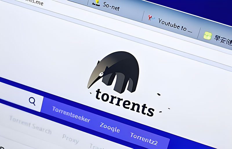 What-is-Torrenting